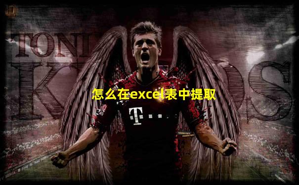 怎么在excel表中提取