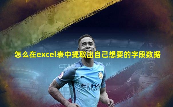 怎么在excel表中提取出自己想要的字段数据
