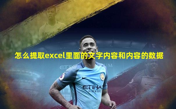 怎么提取excel里面的文字内容和内容的数据
