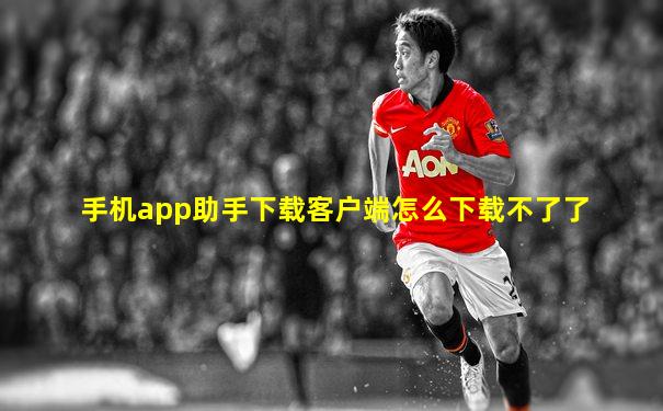 手机app助手下载客户端怎么下载不了了