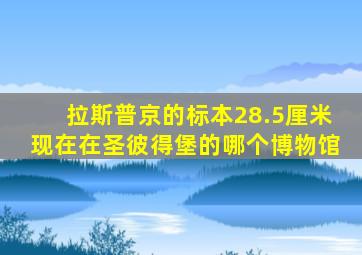 拉斯普京的标本28.5厘米现在在圣彼得堡的哪个博物馆