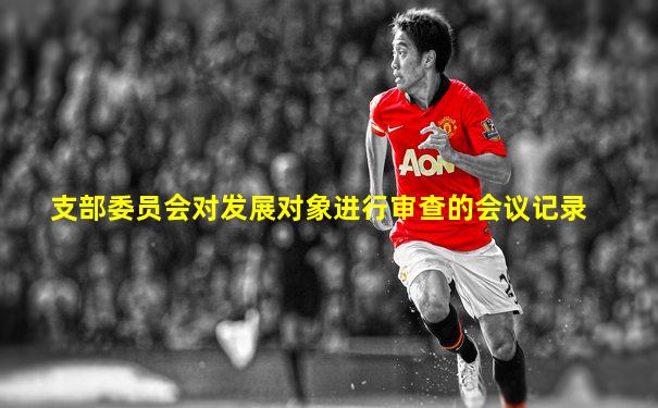 支部委员会对发展对象进行审查的会议记录