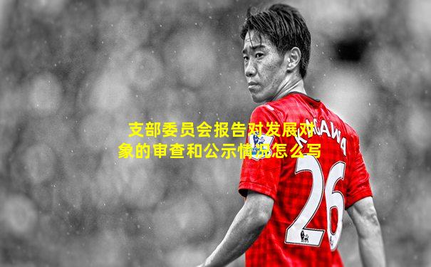支部委员会报告对发展对象的审查和公示情况怎么写