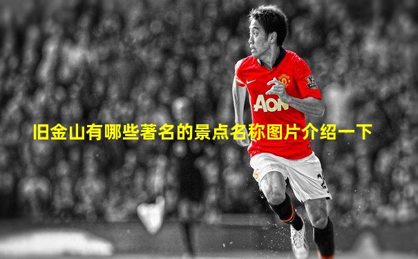 旧金山有哪些著名的景点名称图片介绍一下