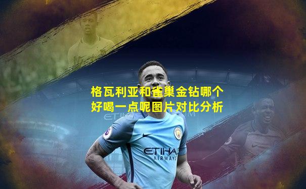 格瓦利亚和雀巢金钻哪个好喝一点呢图片对比分析