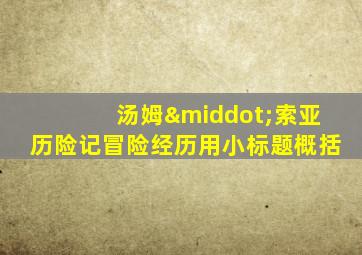 汤姆·索亚历险记冒险经历用小标题概括