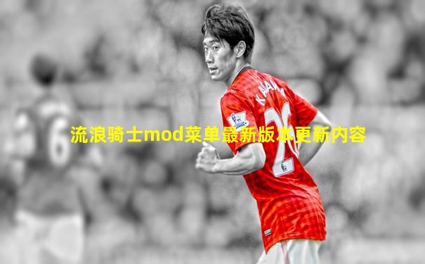 流浪骑士mod菜单最新版本更新内容