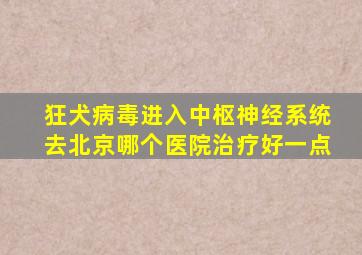 狂犬病毒进入中枢神经系统去北京哪个医院治疗好一点