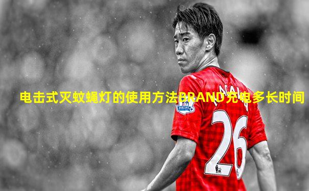 电击式灭蚊蝇灯的使用方法BRAND充电多长时间