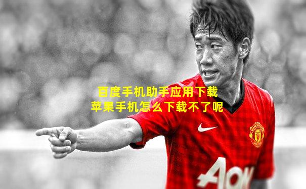 百度手机助手应用下载苹果手机怎么下载不了呢