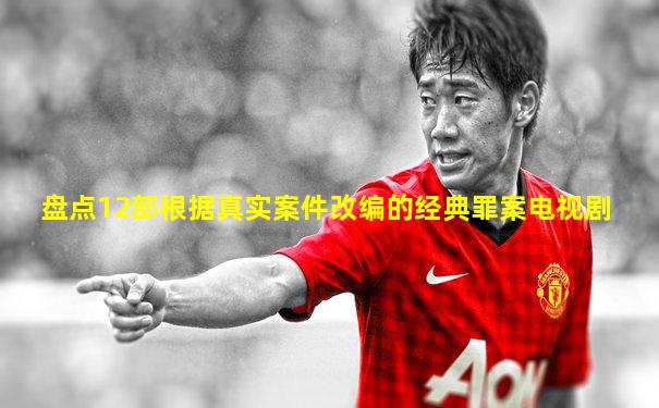 盘点12部根据真实案件改编的经典罪案电视剧