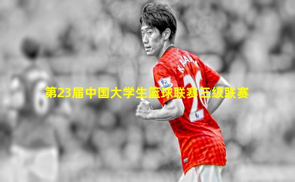 第23届中国大学生篮球联赛三级联赛