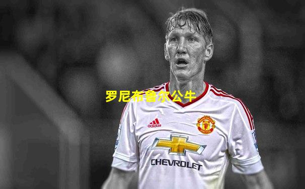 罗尼布鲁尔公牛