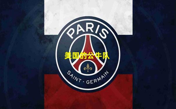 美国的公牛队