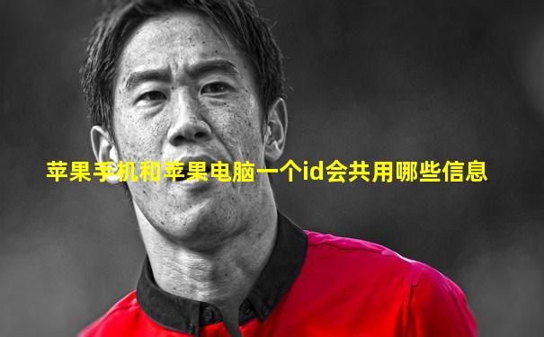苹果手机和苹果电脑一个id会共用哪些信息