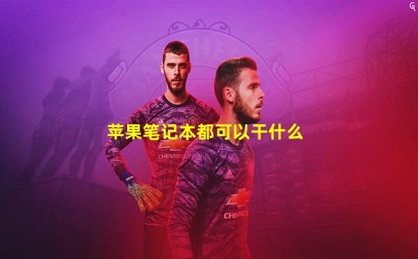 苹果笔记本都可以干什么