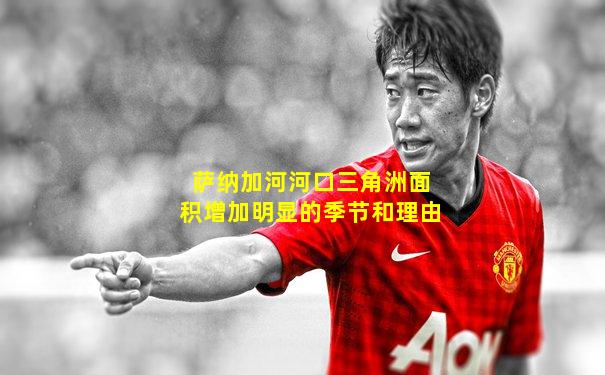 萨纳加河河口三角洲面积增加明显的季节和理由