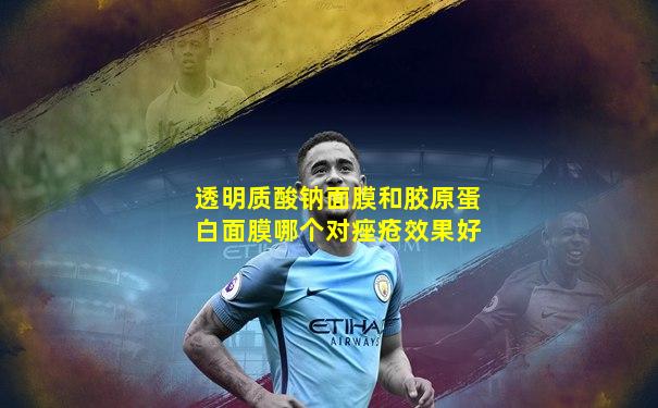 透明质酸钠面膜和胶原蛋白面膜哪个对痤疮效果好