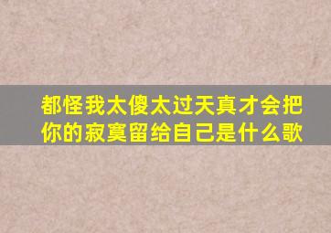 都怪我太傻太过天真才会把你的寂寞留给自己是什么歌