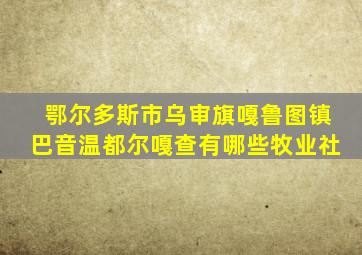 鄂尔多斯市乌审旗嘎鲁图镇巴音温都尔嘎查有哪些牧业社