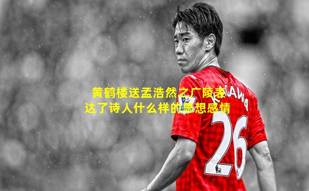 黄鹤楼送孟浩然之广陵表达了诗人什么样的思想感情